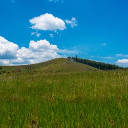 IGY Reboisement 21/02/2026